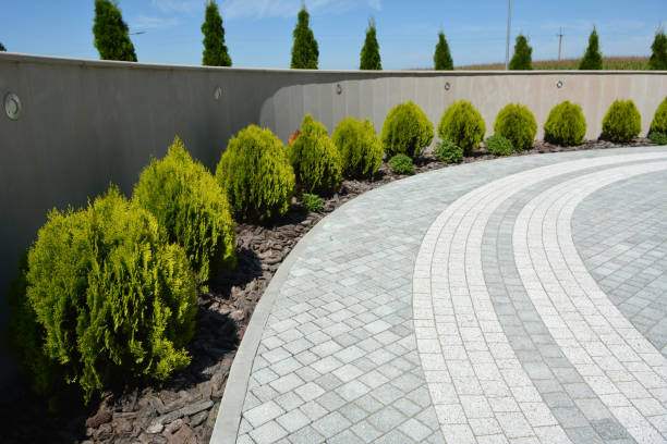 Best Driveway Pavers Near Me  in Helena Flats, MT